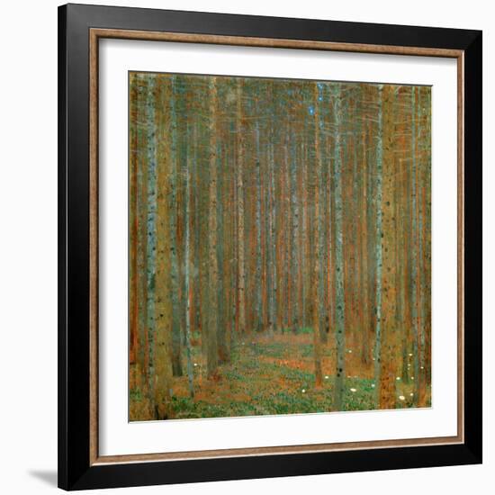 Fir Forest I - Klimt, Gustav (1862-1918) - 1901 - Oil on Canvas - 90X90 - Kunsthaus Zug, Collection-Gustav Klimt-Framed Giclee Print