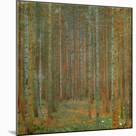 Fir Forest I - Klimt, Gustav (1862-1918) - 1901 - Oil on Canvas - 90X90 - Kunsthaus Zug, Collection-Gustav Klimt-Mounted Giclee Print