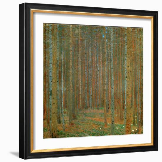 Fir Forest I - Klimt, Gustav (1862-1918) - 1901 - Oil on Canvas - 90X90 - Kunsthaus Zug, Collection-Gustav Klimt-Framed Giclee Print