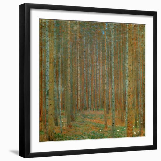 Fir Forest I - Klimt, Gustav (1862-1918) - 1901 - Oil on Canvas - 90X90 - Kunsthaus Zug, Collection-Gustav Klimt-Framed Giclee Print
