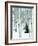 Fir in Aspen grove, Dixie National Forest, Utah, USA-Charles Gurche-Framed Photographic Print