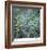 Fir Needles-Ken Bremer-Framed Limited Edition