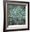 Fir Needles-Ken Bremer-Framed Limited Edition