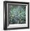 Fir Needles-Ken Bremer-Framed Limited Edition