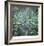 Fir Needles-Ken Bremer-Framed Limited Edition