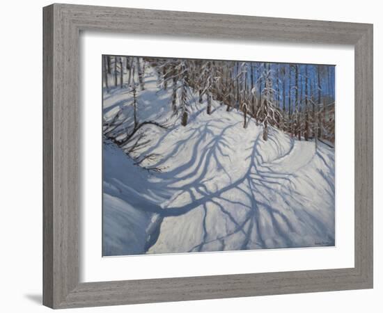 Fir Tree Shadows, Tignes, 2009-Andrew Macara-Framed Giclee Print