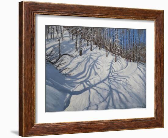 Fir Tree Shadows, Tignes, 2009-Andrew Macara-Framed Giclee Print