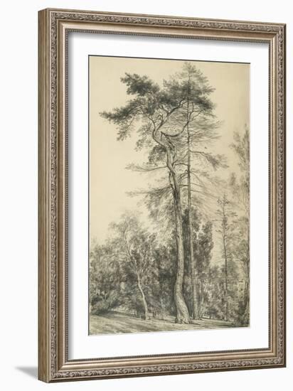 Fir Trees, C.1833 (Pencil on Paper)-John Constable-Framed Giclee Print