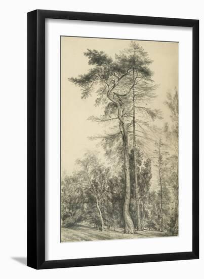 Fir Trees, C.1833 (Pencil on Paper)-John Constable-Framed Giclee Print