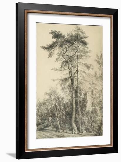 Fir Trees, C.1833 (Pencil on Paper)-John Constable-Framed Giclee Print