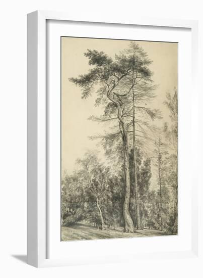 Fir Trees, C.1833 (Pencil on Paper)-John Constable-Framed Giclee Print