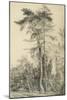 Fir Trees, C.1833 (Pencil on Paper)-John Constable-Mounted Giclee Print
