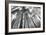 Fir Trees III-Alan Majchrowicz-Framed Photo