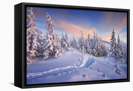 Fir Trees under the Snow. Mountain Forest in Winter. Christmas Landscape. the Path in the Snow. Car-Kotenko-Framed Premier Image Canvas