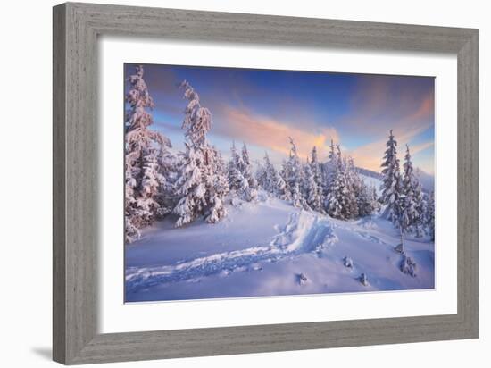 Fir Trees under the Snow. Mountain Forest in Winter. Christmas Landscape. the Path in the Snow. Car-Kotenko-Framed Photographic Print