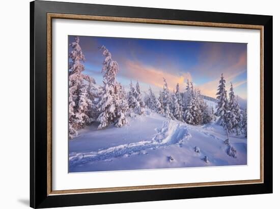 Fir Trees under the Snow. Mountain Forest in Winter. Christmas Landscape. the Path in the Snow. Car-Kotenko-Framed Photographic Print