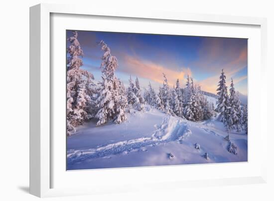 Fir Trees under the Snow. Mountain Forest in Winter. Christmas Landscape. the Path in the Snow. Car-Kotenko-Framed Photographic Print