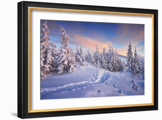 Fir Trees under the Snow. Mountain Forest in Winter. Christmas Landscape. the Path in the Snow. Car-Kotenko-Framed Photographic Print