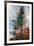 Fir-Ursula Abresch-Framed Photographic Print