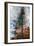 Fir-Ursula Abresch-Framed Photographic Print