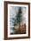 Fir-Ursula Abresch-Framed Photographic Print