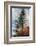 Fir-Ursula Abresch-Framed Photographic Print