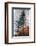 Fir-Ursula Abresch-Framed Photographic Print