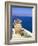 Fira, Island of Santorini (Thira), Cyclades Islands, Aegean, Greek Islands, Greece, Europe-Sergio Pitamitz-Framed Photographic Print