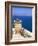 Fira, Island of Santorini (Thira), Cyclades Islands, Aegean, Greek Islands, Greece, Europe-Sergio Pitamitz-Framed Photographic Print