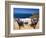 Fira, Island of Santorini (Thira), Cyclades Islands, Aegean, Greek Islands, Greece, Europe-Sergio Pitamitz-Framed Photographic Print