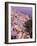 Fira, Island of Santorini (Thira), Cyclades Islands, Aegean, Greek Islands, Greece, Europe-Sergio Pitamitz-Framed Photographic Print