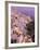 Fira, Island of Santorini (Thira), Cyclades Islands, Aegean, Greek Islands, Greece, Europe-Sergio Pitamitz-Framed Photographic Print