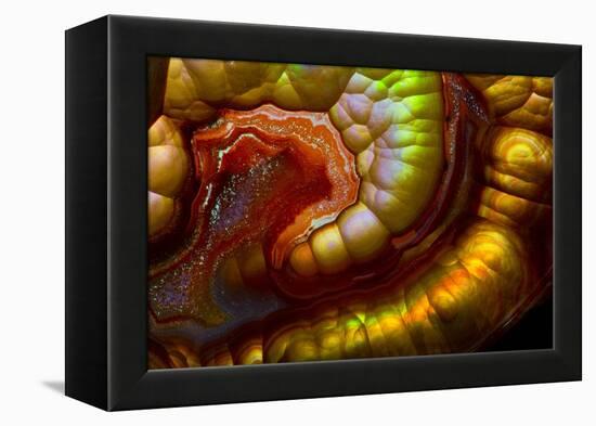 Fire Agate-Darrell Gulin-Framed Premier Image Canvas