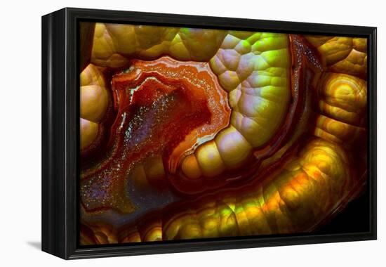 Fire Agate-Darrell Gulin-Framed Premier Image Canvas