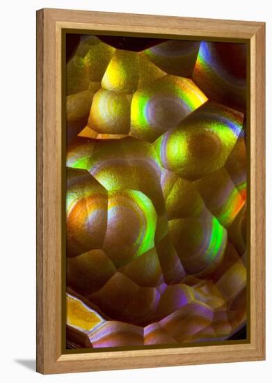 Fire Agate-Darrell Gulin-Framed Premier Image Canvas