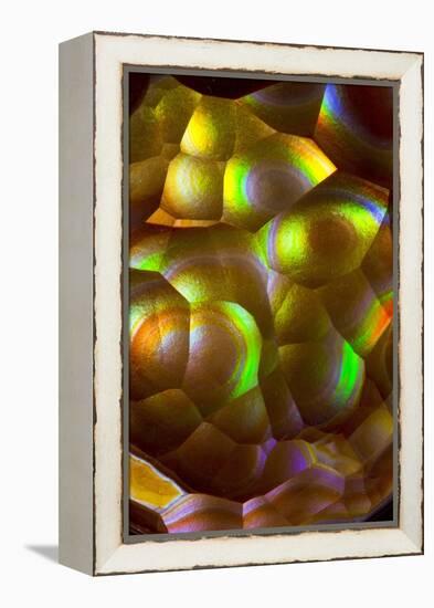 Fire Agate-Darrell Gulin-Framed Premier Image Canvas