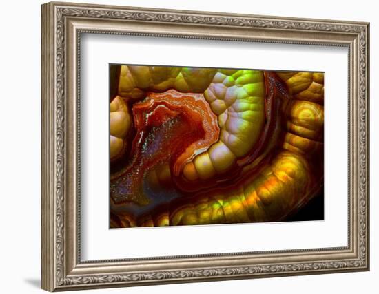 Fire Agate-Darrell Gulin-Framed Photographic Print