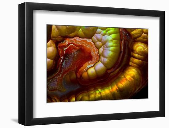 Fire Agate-Darrell Gulin-Framed Photographic Print