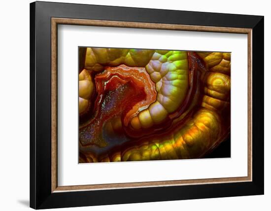 Fire Agate-Darrell Gulin-Framed Photographic Print