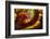 Fire Agate-Darrell Gulin-Framed Photographic Print