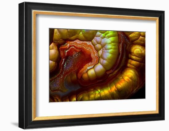 Fire Agate-Darrell Gulin-Framed Photographic Print