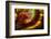 Fire Agate-Darrell Gulin-Framed Photographic Print