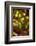 Fire Agate-Darrell Gulin-Framed Photographic Print