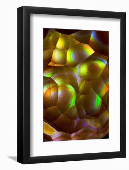 Fire Agate-Darrell Gulin-Framed Photographic Print