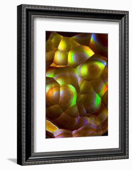 Fire Agate-Darrell Gulin-Framed Photographic Print