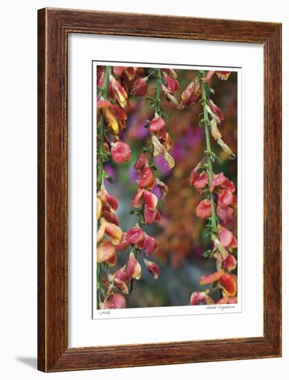 Fire Bush-Stacy Bass-Framed Giclee Print