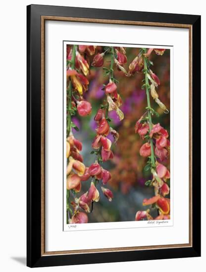 Fire Bush-Stacy Bass-Framed Giclee Print