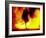 Fire Dancing, Bali, Indonesia-Jay Sturdevant-Framed Photographic Print