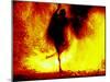 Fire Dancing, Bali, Indonesia-Jay Sturdevant-Mounted Photographic Print