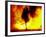 Fire Dancing, Bali, Indonesia-Jay Sturdevant-Framed Photographic Print